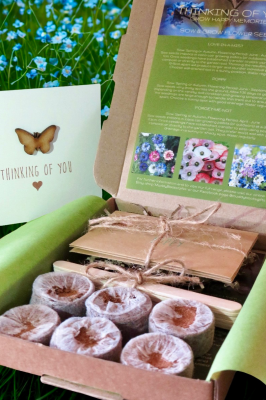 Remembrance Seeds Gift Box with Handmade Sympathy Card