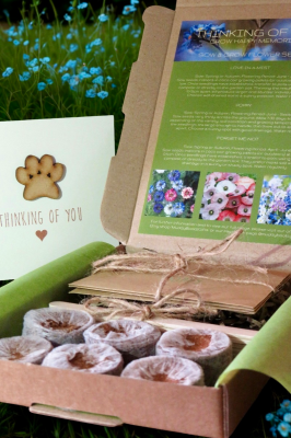 Pet Remembrance Seeds Gift Box with Handmade Sympathy Card